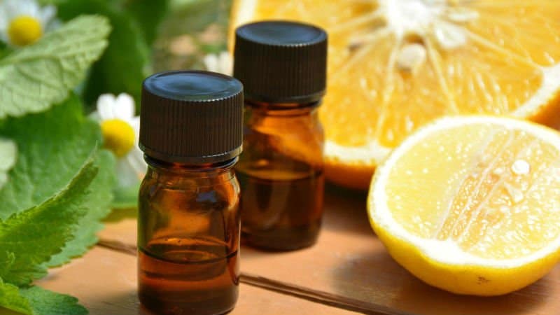 huile essentielle verveine citronnée